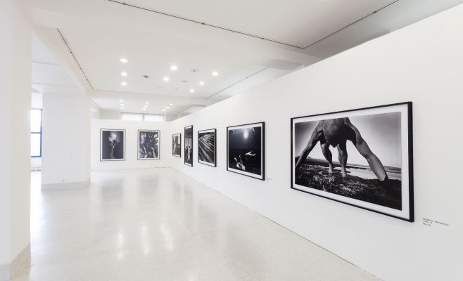 Выставка фотографий Кейчи Тахара «Фотосинтез 1978-1980»