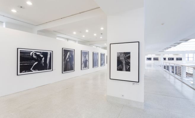 Выставка фотографий Кейчи Тахара «Фотосинтез 1978-1980»