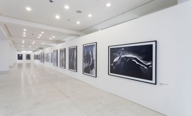 Выставка фотографий Кейчи Тахара «Фотосинтез 1978-1980»