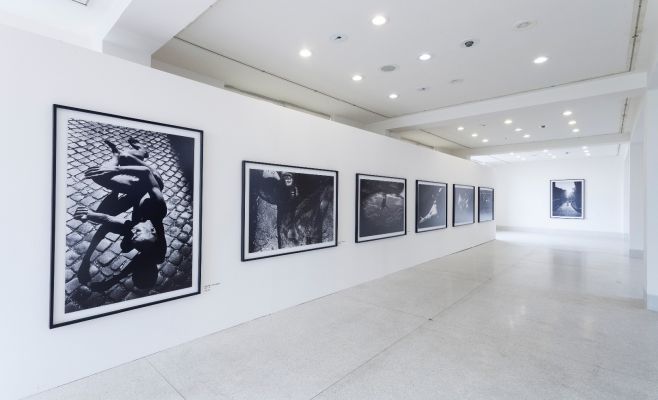 Выставка фотографий Кейчи Тахара «Фотосинтез 1978-1980»