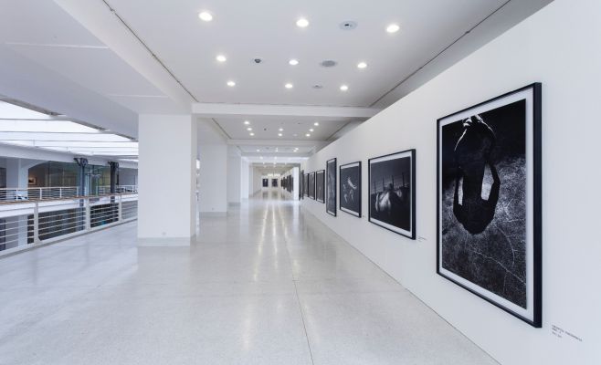 Выставка фотографий Кейчи Тахара «Фотосинтез 1978-1980»