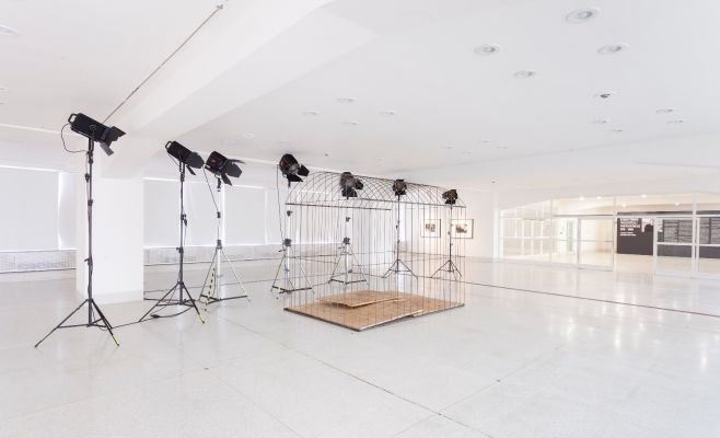 Выставка фотографий Кейчи Тахара «Фотосинтез 1978-1980»