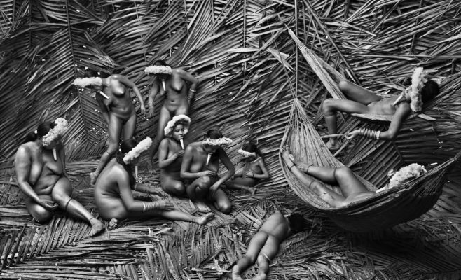 Себастьян Сальгадо: Genesis