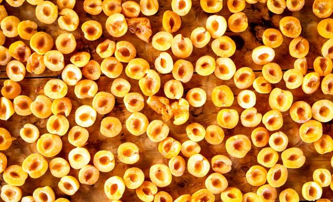 Дешёвых абрикосов, персиков и черешни в этом году не будет