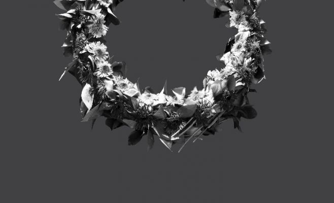 Выставка Орит Ишай «Страна оленей»