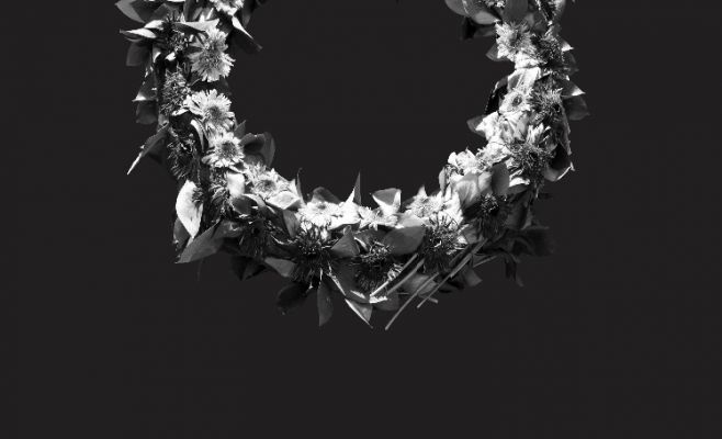 Выставка Орит Ишай «Страна оленей»