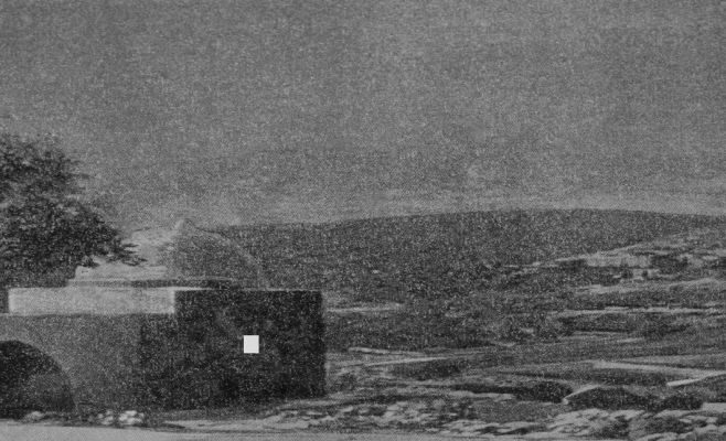 Выставка Орит Ишай «Страна оленей»