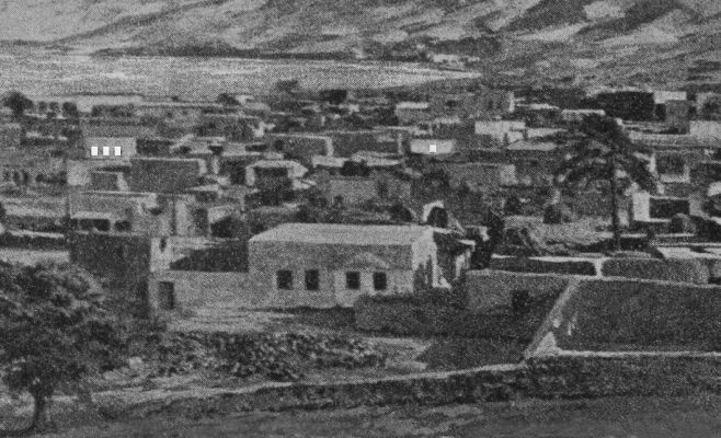 Выставка Орит Ишай «Страна оленей»