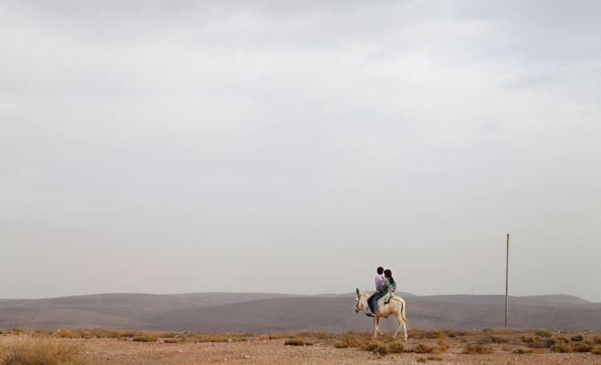 Выставка Орит Ишай «Страна оленей»