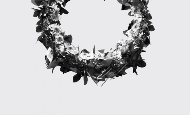 Выставка Орит Ишай «Страна оленей»