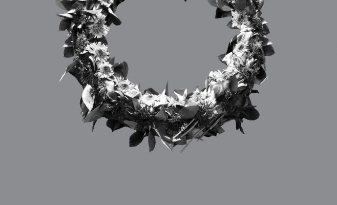 Выставка Орит Ишай «Страна оленей»