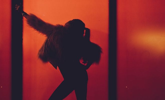 Парламент Чехии принял закон, запрещающий меховые фермы