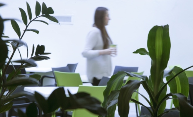 Литературное кафе Tynska