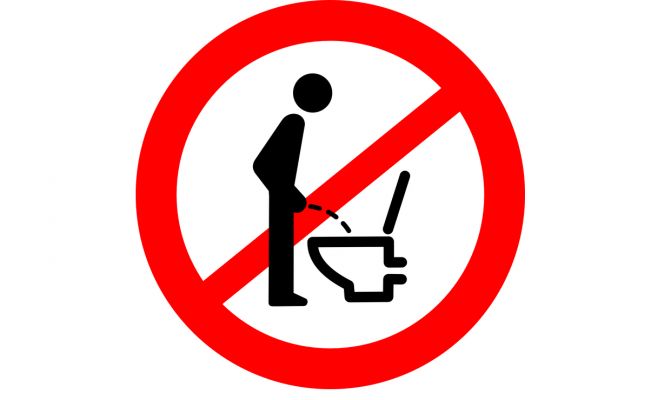 Мэрия чешского города на официальном уровне хотела принудить мужчин писать сидя