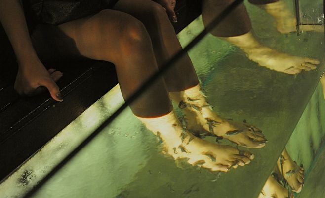 Санэпидемстанция предупреждает: рыбий педикюр опасен