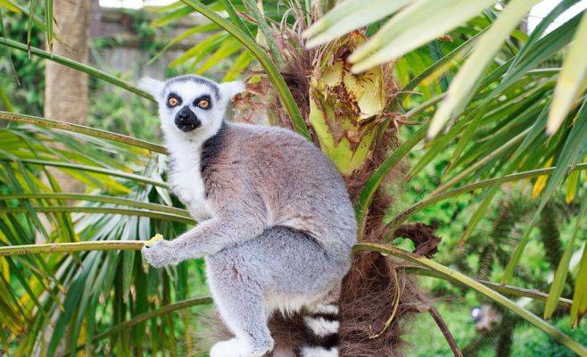 Названы 10 самых посещаемых туристических мест в Чехии