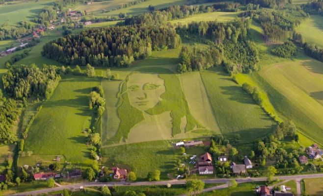 В Чехии появилась огромная «Мона Лиза» Леонардо да Винчи, выполненная на газоне