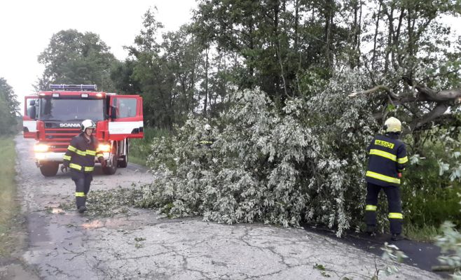 Результаты шторма в Чехии: тысячи людей без электричества, вырванные деревья, перебои в работе транспорта