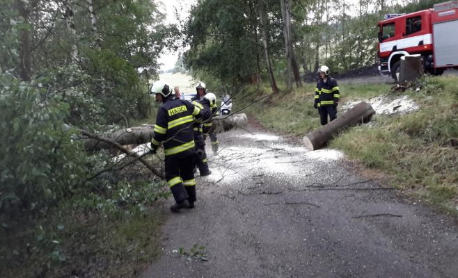 Результаты шторма в Чехии: тысячи людей без электричества, вырванные деревья, перебои в работе транспорта