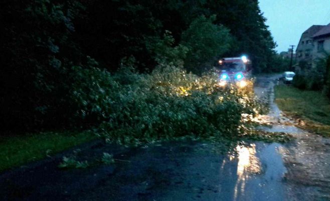 Результаты шторма в Чехии: тысячи людей без электричества, вырванные деревья, перебои в работе транспорта