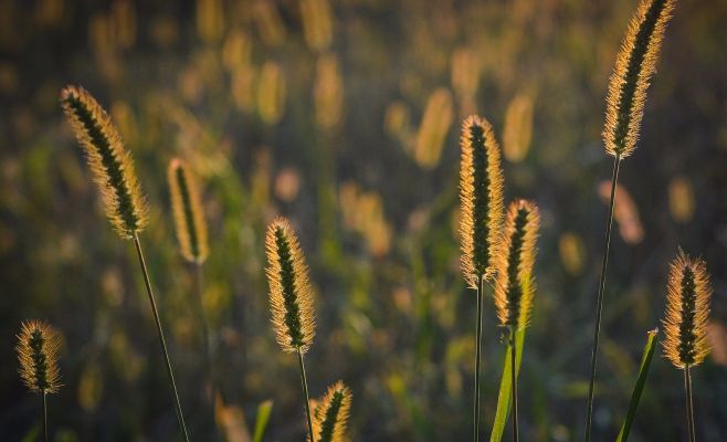 На следующей неделе в Чехию вернется жара