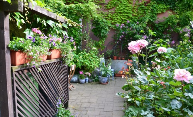 Кондитерская Alchymista