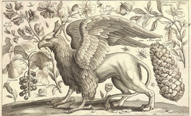 Выставка работ Вацлава Холлара