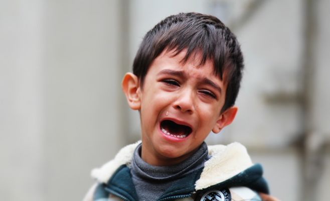 Выставка «Перед моими глазами»