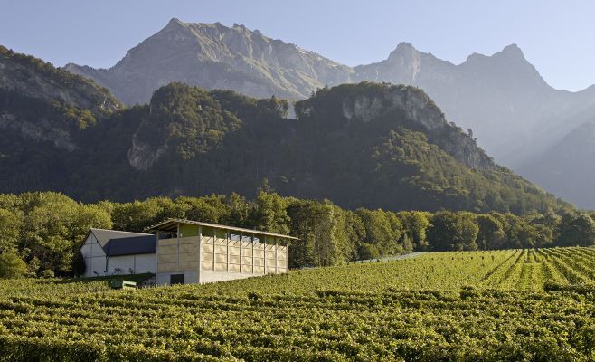 Выставка «Bearth & Deplazes / Amurs»