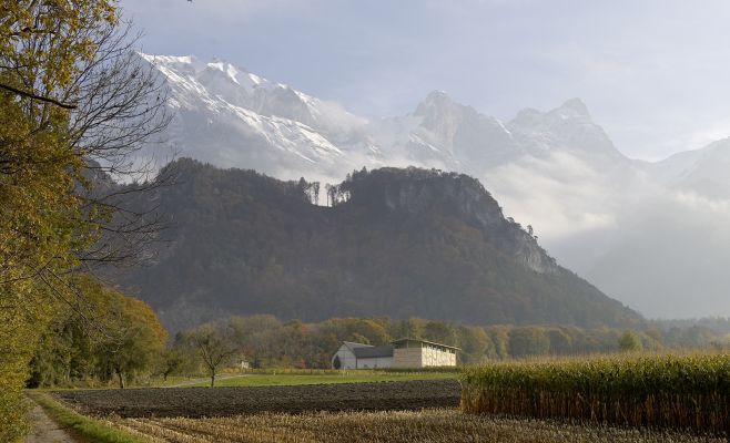 Выставка «Bearth & Deplazes / Amurs»