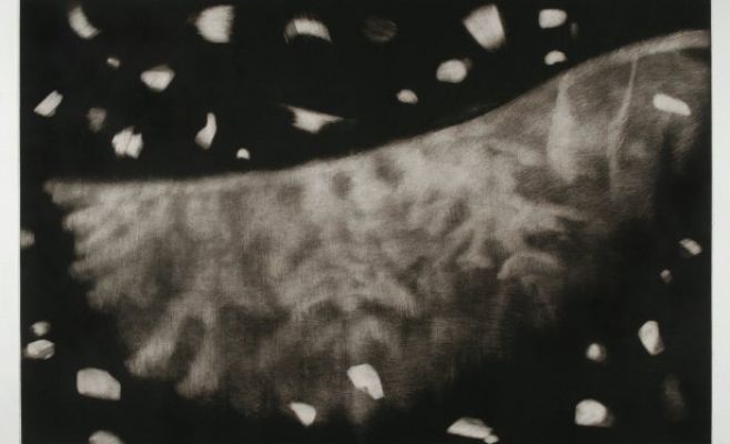 Выставка «Hollar сегодня»