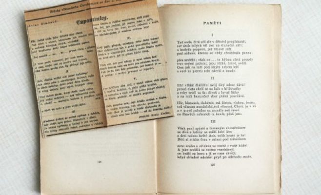 Выставка Ярослава Заоралека «Из библиотеки переводчика»