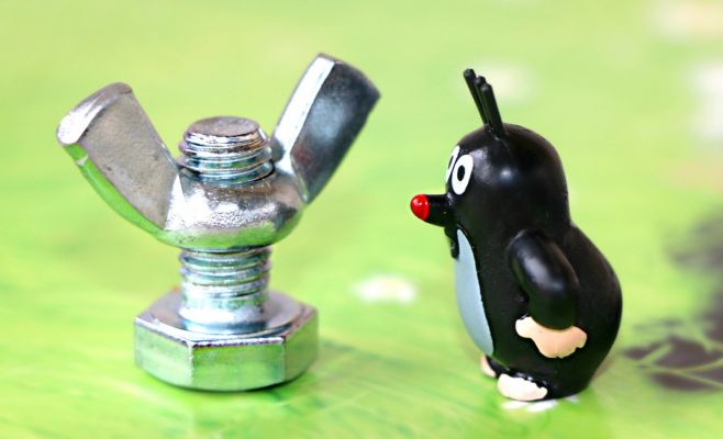 День рождения Крота