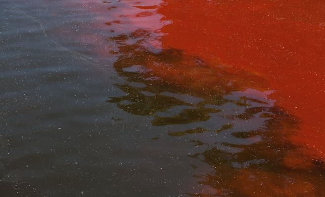 Кто и зачем покрасил Влтаву в красный цвет?