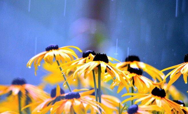 Лето продолжается: последняя неделя августа будет теплой