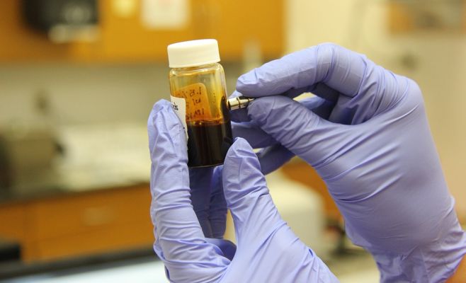 В Чехии работают над новым лекарством от ожирения и диабета второго типа