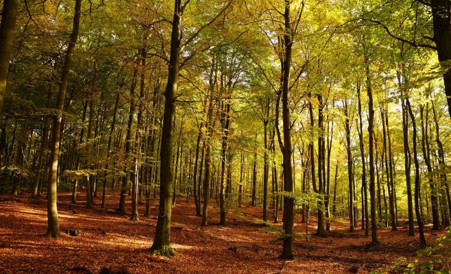 Бабье лето в Чехии быстро закончится