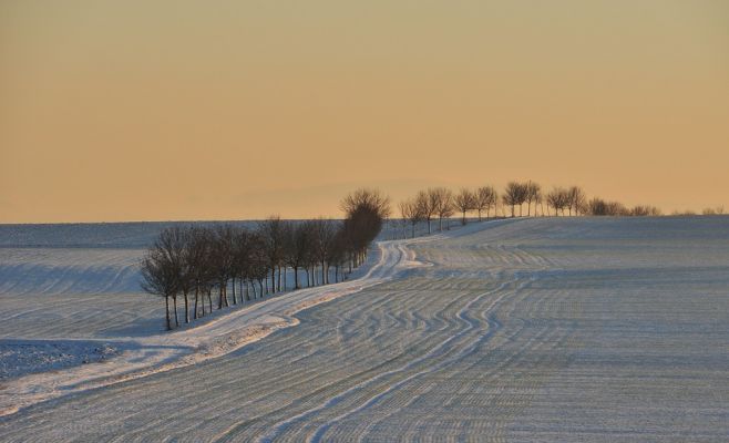Зима пришла: в Чехии выпал первый снег