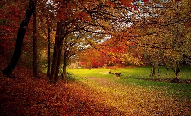 В ближайшие недели погода в Чехии будет теплее, чем обычно