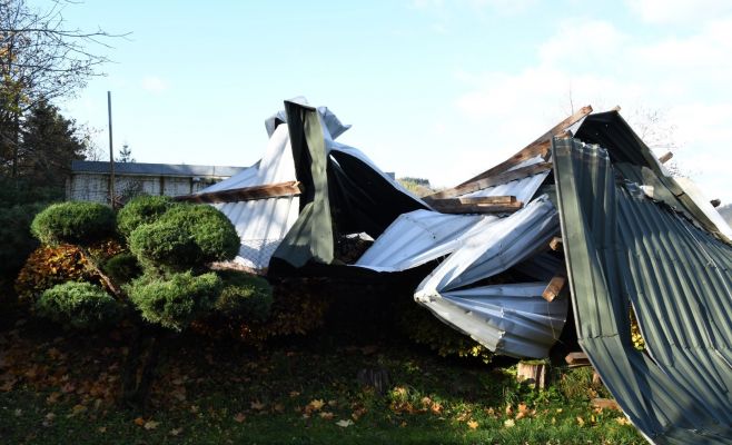 Впервые с 2013 закрыт Пражский зоопарк из-за погодных катаклизмов