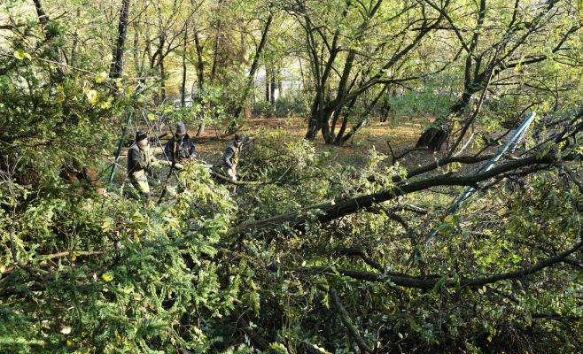 Впервые с 2013 закрыт Пражский зоопарк из-за погодных катаклизмов