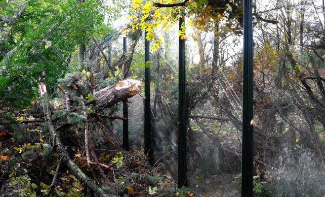 Впервые с 2013 закрыт Пражский зоопарк из-за погодных катаклизмов