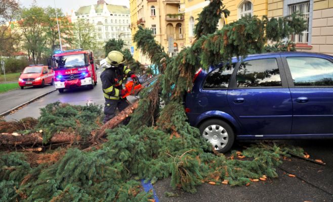 Жителей Праги просят временно не посещать городские парки, леса и кладбища