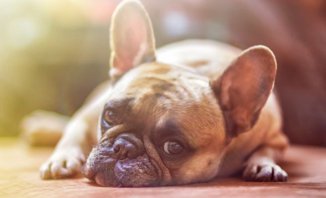 8 изменений, которые произойдут в Чехии в ноябре