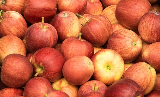 Фермеры прогнозируют значительный рост цен на яблоки
