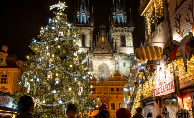 Прага определилась с главной елкой страны