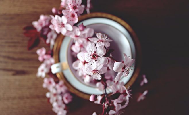 «Барборки» — древний народный обычай, связанный с периодом адвента