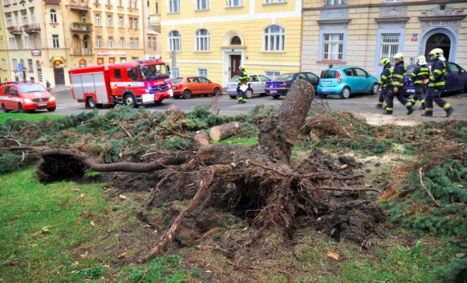 На Чехию надвигается «экстремально сильный» ветер, предупреждает гидрометцентр
