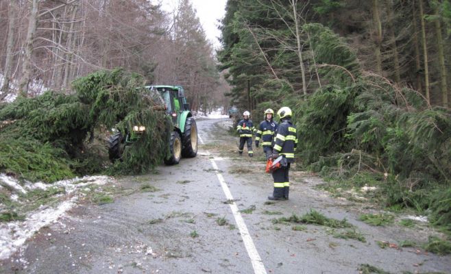 В Чехии сильный ветер вырывал деревья