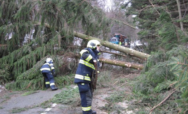В Чехии сильный ветер вырывал деревья